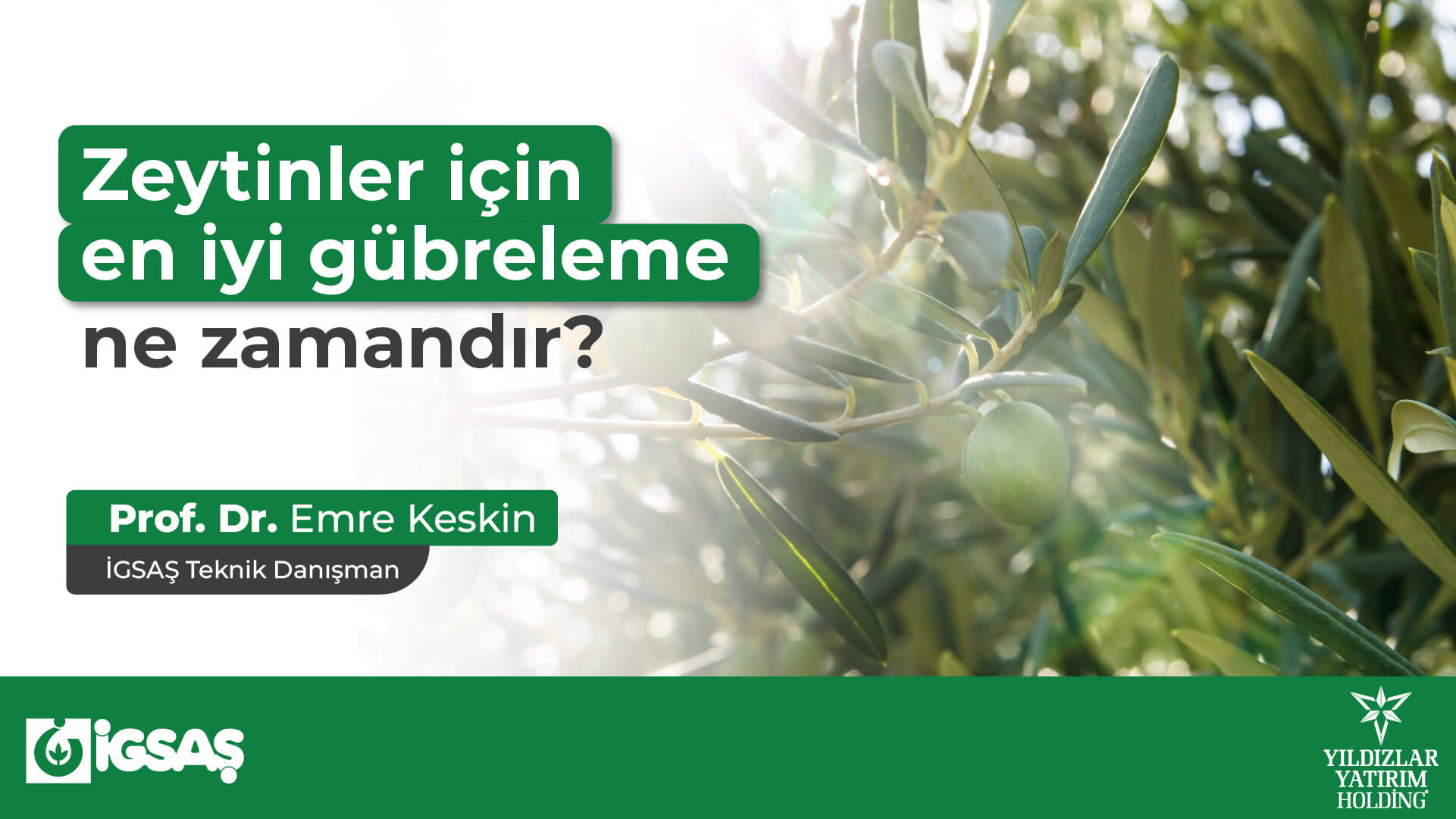 Zeytinler İçin En İyi Gübreleme Ne Zamandır?