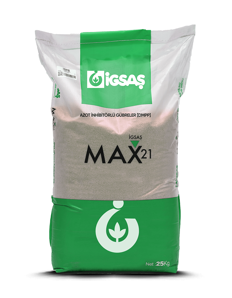 İGSAŞ MAX 21