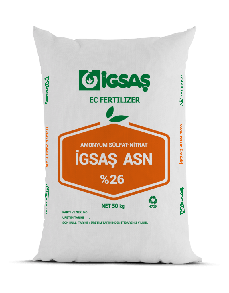 İGSAŞ ASN %26